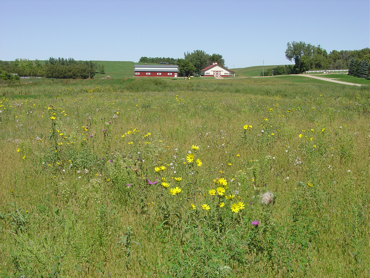 South Dakota Prairie Photo